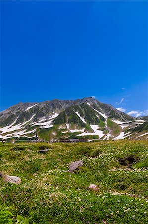 sky sunlight grass flowers - Tateyama mountain range, Toyama Prefecture Stock Photo - Premium Royalty-Free, Code: 622-07118040