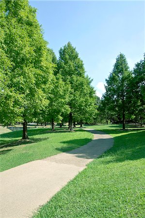 park blue sky - Park Stock Photo - Premium Royalty-Free, Code: 622-07118066