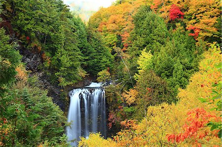 Zengoro Waterfall, Nagano Prefecture Photographie de stock - Premium Libres de Droits, Code: 622-07519334