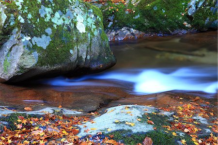 Water stream Stock Photo - Premium Royalty-Free, Code: 622-07519356