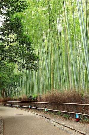 simsearch:622-06549507,k - Bamboo forest, Kyoto Prefecture Fotografie stock - Premium Royalty-Free, Codice: 622-07519362