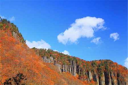 red cliff - Autumn leaves Fotografie stock - Premium Royalty-Free, Codice: 622-07519703