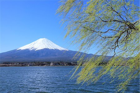 Mount Fuji Foto de stock - Sin royalties Premium, Código: 622-07519733