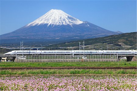 pictures of beautiful flowers in snow - Mount Fuji Stock Photo - Premium Royalty-Free, Code: 622-07519741