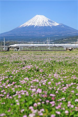 pictures of beautiful flowers in snow - Mount Fuji Stock Photo - Premium Royalty-Free, Code: 622-07519742