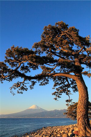 evening beach sunset - Mount Fuji Stock Photo - Premium Royalty-Free, Code: 622-07519779