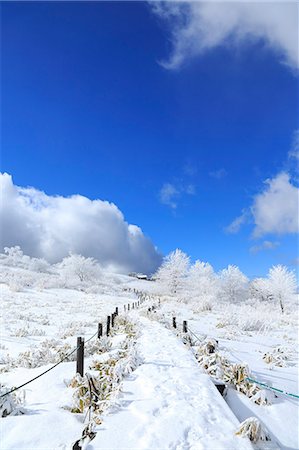 road with snow mountain - Rimed trees Stock Photo - Premium Royalty-Free, Code: 622-07519817