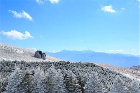 Rimed trees Photographie de stock - Premium Libres de Droits, Code: 622-07519823