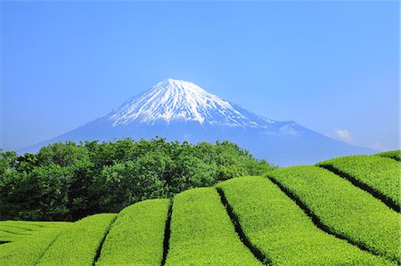 Mount Fuji Foto de stock - Sin royalties Premium, Código: 622-07519936