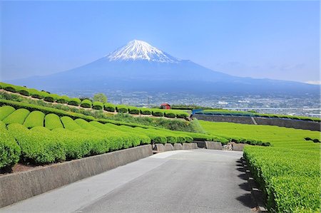 simsearch:622-06439485,k - Mount Fuji Stock Photo - Premium Royalty-Free, Code: 622-07519938