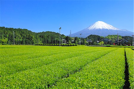 Mount Fuji Foto de stock - Sin royalties Premium, Código: 622-07519949