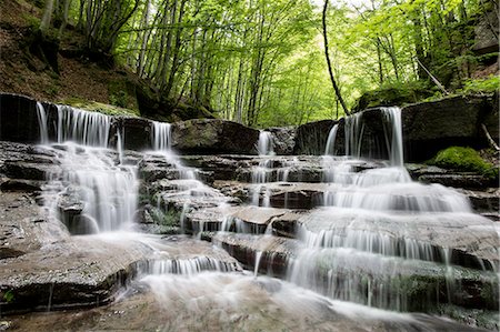 rock jump - Water stream in a forest in Tuscany, Italy Stock Photo - Premium Royalty-Free, Code: 622-07743506