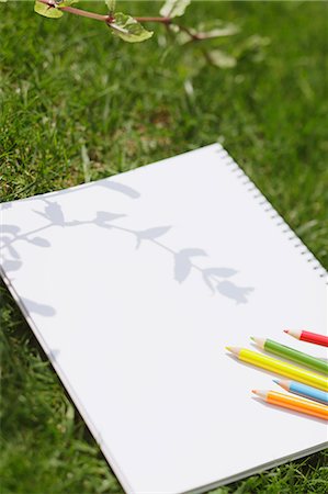 Colored pencil and sketchbook on grass Stockbilder - Premium RF Lizenzfrei, Bildnummer: 622-07743519