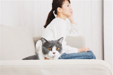 Japanese young woman in jeans and white shirt with cat on the sofa Foto de stock - Sin royalties Premium, Código: 622-07743584