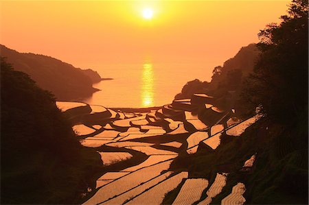 rice field silhouette - Terraced Rice Field, Japan Stock Photo - Premium Royalty-Free, Code: 622-07760462