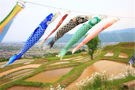 rice fields or rice farms - Nagano Prefecture, Japan Stock Photo - Premium Royalty-Free, Code: 622-07760485