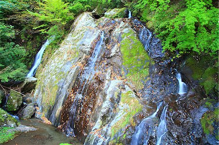 Saitama Prefecture, Japan Stock Photo - Premium Royalty-Free, Code: 622-07810618