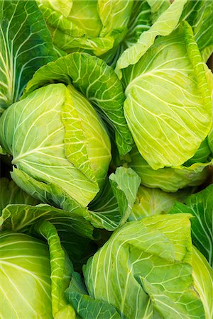 Cabbage Stock Photo - Premium Royalty-Free, Code: 622-07810650