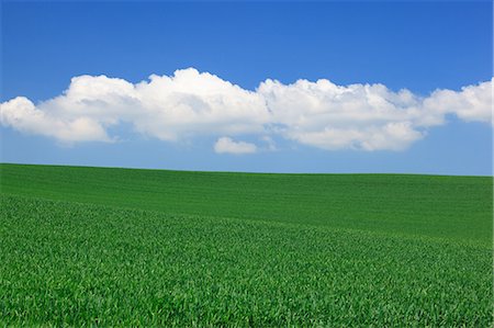 farm field grass not people - Hokkaido, Japan Stock Photo - Premium Royalty-Free, Code: 622-07811155