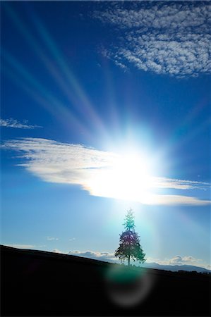 ray, light nobody - Hokkaido, Japan Stock Photo - Premium Royalty-Free, Code: 622-07841213