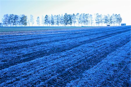 Hokkaido, Japan Stockbilder - Premium RF Lizenzfrei, Bildnummer: 622-07841234