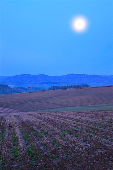 Hokkaido, Japan Stock Photo - Premium Royalty-Free, Image code: 622-07841258