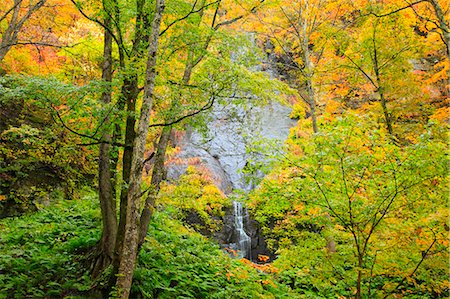 Autumn colors, Aomori Prefecture, Japan Stock Photo - Premium Royalty-Free, Code: 622-07841264