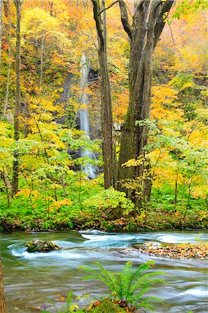 Autumn colors, Aomori Prefecture, Japan Photographie de stock - Premium Libres de Droits, Code: 622-07841263