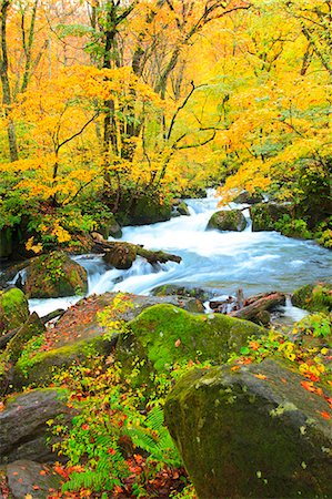 Autumn colors, Aomori Prefecture, Japan Foto de stock - Sin royalties Premium, Código: 622-07841271