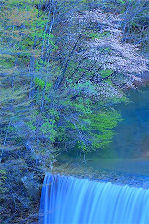 ruisseau - Iwate Prefecture, Japan Photographie de stock - Premium Libres de Droits, Code: 622-07841295