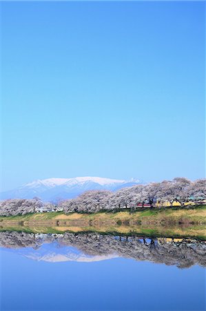 Miyagi Prefecture, Japan Stockbilder - Premium RF Lizenzfrei, Bildnummer: 622-07841290