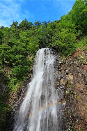 dark green - Akita Prefecture, Japan Photographie de stock - Premium Libres de Droits, Code: 622-07841305