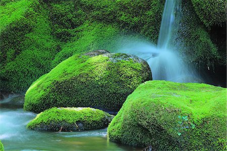 spring (body of water) - Akita Prefecture, Japan Stock Photo - Premium Royalty-Free, Code: 622-07841303