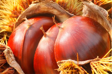 simsearch:622-07519537,k - Chestnuts Photographie de stock - Premium Libres de Droits, Code: 622-07841327