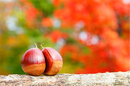 defoliator - Chestnuts Stock Photo - Premium Royalty-Free, Code: 622-07841330