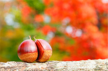 red maple - Chestnuts Stock Photo - Premium Royalty-Free, Code: 622-07841330