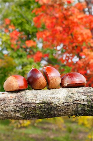 simsearch:622-07519537,k - Chestnuts Photographie de stock - Premium Libres de Droits, Code: 622-07841331