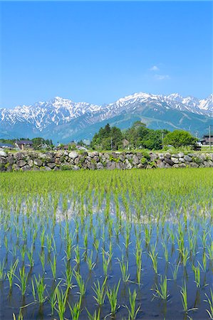 Nagano Prefecture, Japan Stock Photo - Premium Royalty-Free, Code: 622-07841445