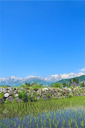 Nagano Prefecture, Japan Stock Photo - Premium Royalty-Free, Code: 622-07841449