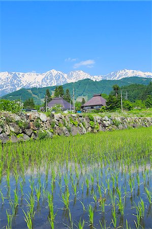 Nagano Prefecture, Japan Stock Photo - Premium Royalty-Free, Code: 622-07841450