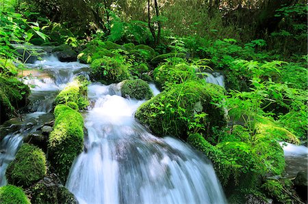 stream brooks - Nagano Prefecture, Japan Stock Photo - Premium Royalty-Free, Code: 622-07841498