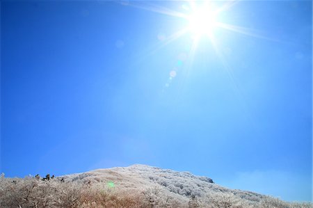 Oita Prefecture, Japan Stock Photo - Premium Royalty-Free, Code: 622-08065064