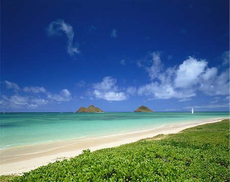 emerald coast - Hawaii, USA Stock Photo - Premium Royalty-Free, Code: 622-08065265