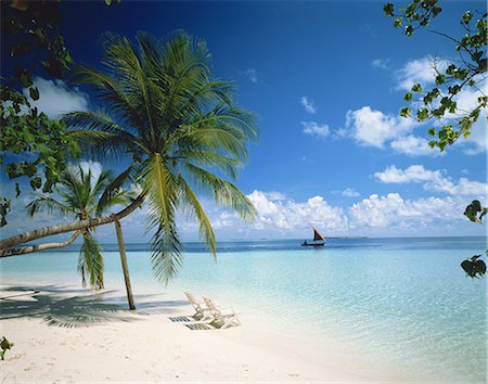 sky with beach - Maldives Stock Photo - Premium Royalty-Free, Code: 622-08065280