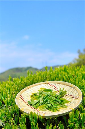 Japanese tea Stock Photo - Premium Royalty-Free, Code: 622-08065432