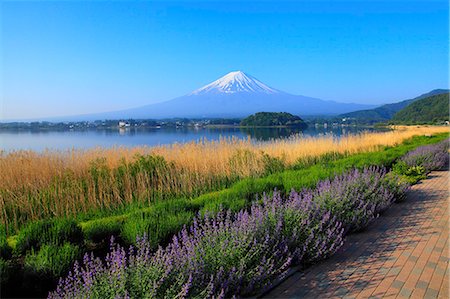 Yamanashi Prefecture, Japan Foto de stock - Sin royalties Premium, Código: 622-08065465