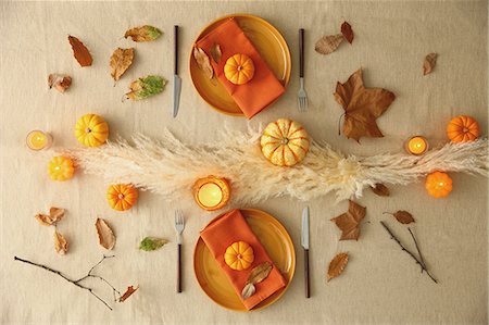 defoliator - Stylish table setting Stock Photo - Premium Royalty-Free, Code: 622-08123474