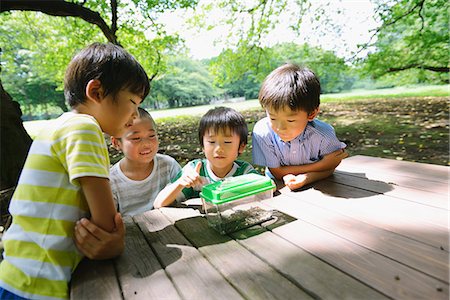 filet à papillons - Japanese kid in a city park Photographie de stock - Premium Libres de Droits, Code: 622-08519766