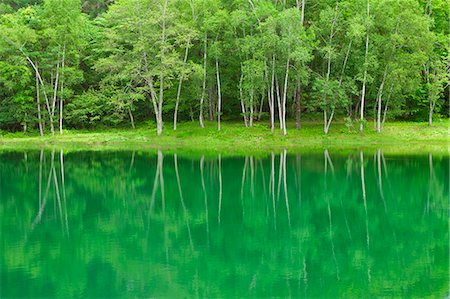 Grassland reflections on a lake, Nagano Prefecture, Japan Photographie de stock - Premium Libres de Droits, Code: 622-09101124