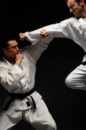 Zwei Blackbelts Sparring Stockbilder - Premium RF Lizenzfrei, Bildnummer: 622-00947233